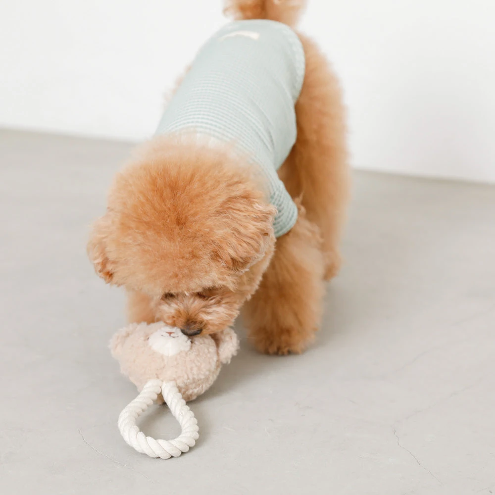 シリコン 水筒を使う飼い主とペットの楽しそうな写真