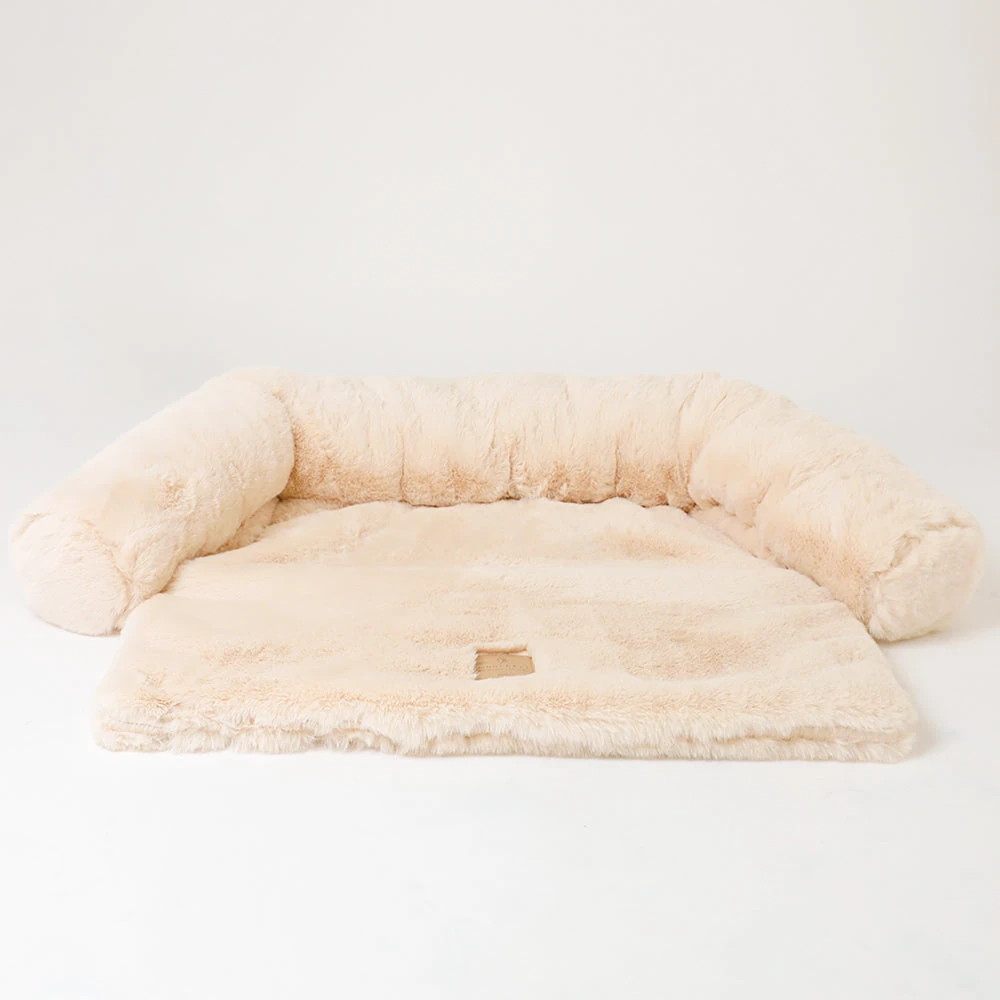 モンシェリ 意味を表す愛犬との温かい時間