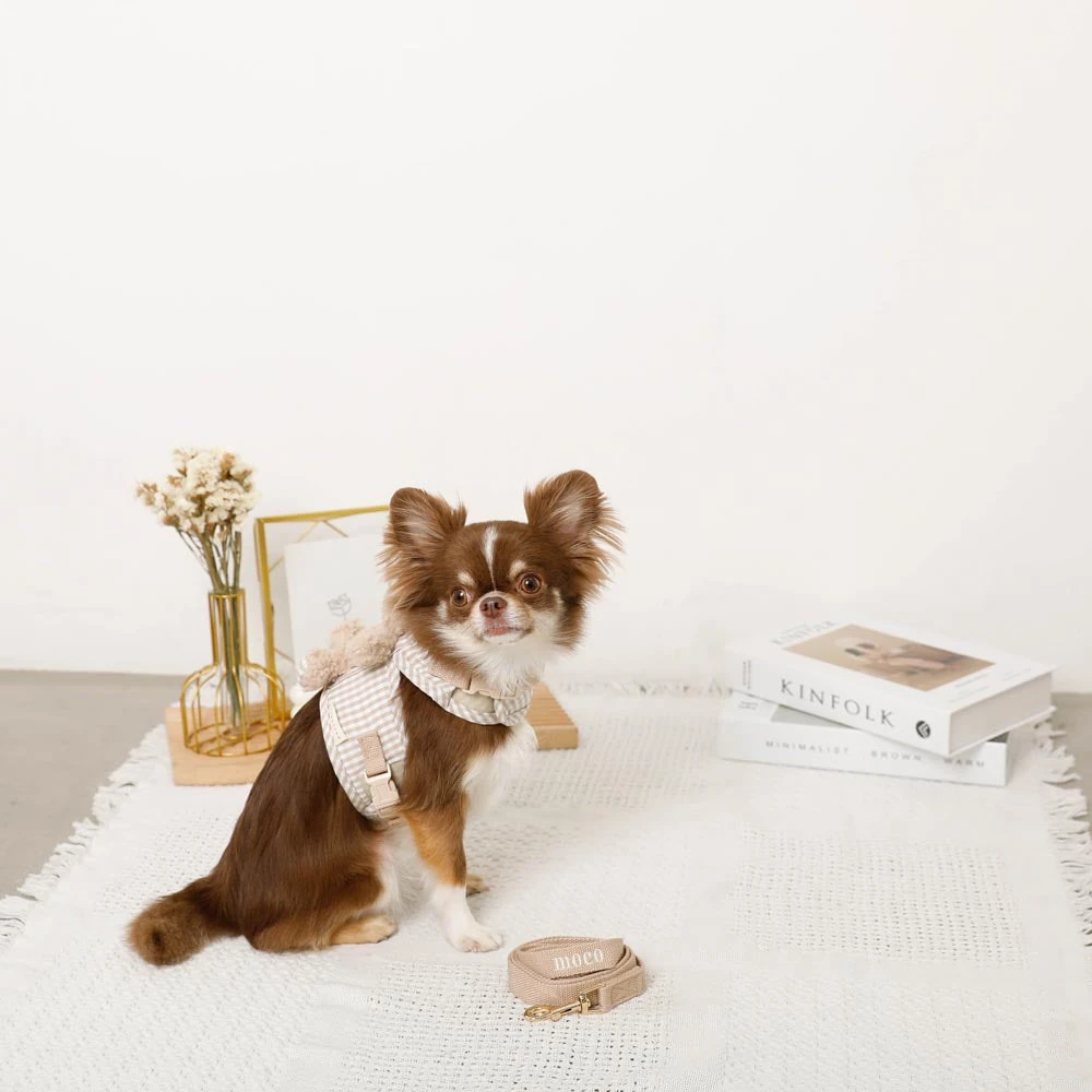 春のウォーキング 服装 おしゃれ 花粉症対策コーディネート