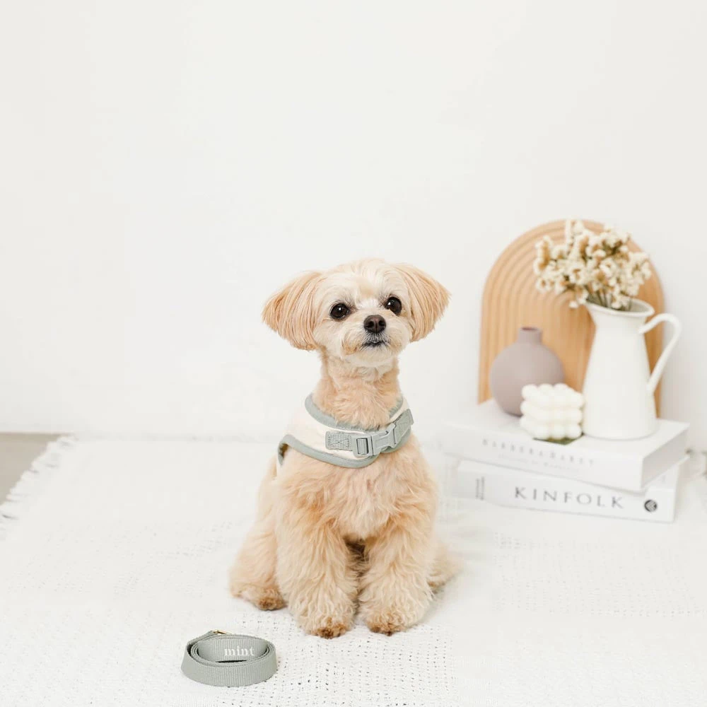 小型 犬 防寒 着 - 小型犬防寒着の体温維持効果を示すグラフ