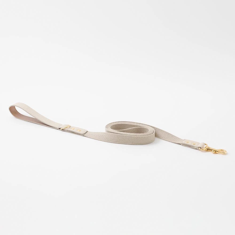 ミニチュア ダックス グッズ シュリンクレザーコットンライクリード