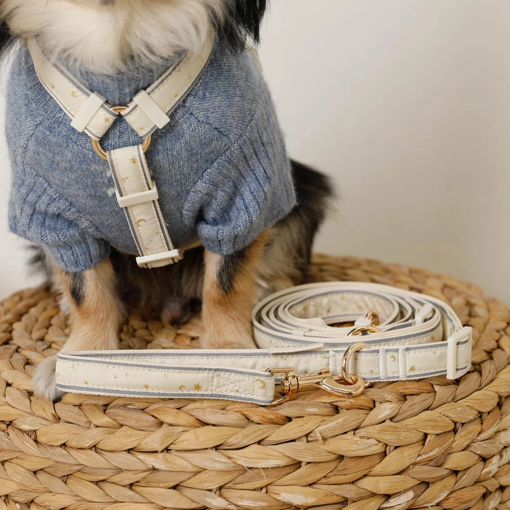 ウォーキング 服装 おしゃれ サイズ測定ガイド