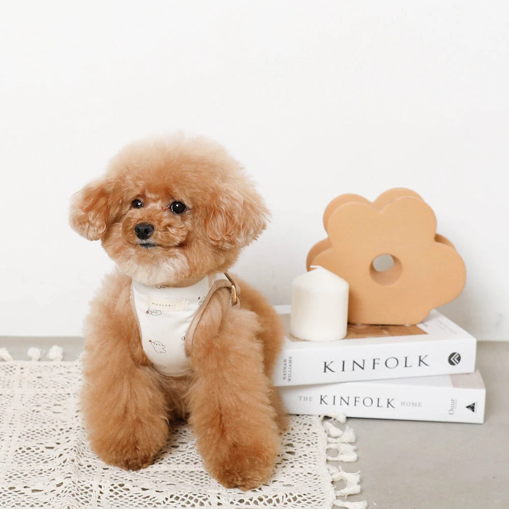 中型 犬 の 洋服 - 中型犬の洋服を畳んで収納している様子