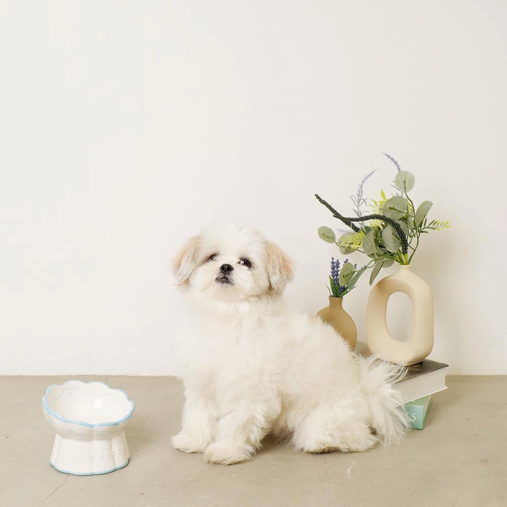 小型 犬 防寒 着 - 小型犬防寒着の最新防水技術を示す素材クローズアップ