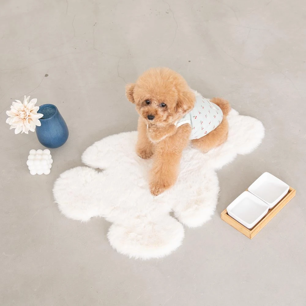 背中 あき ニット - 背中あきニットを着用して快適に過ごす高齢犬の様子